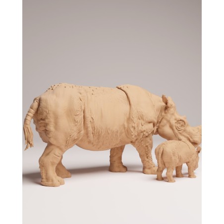 Sumatran rhinoceros with calf