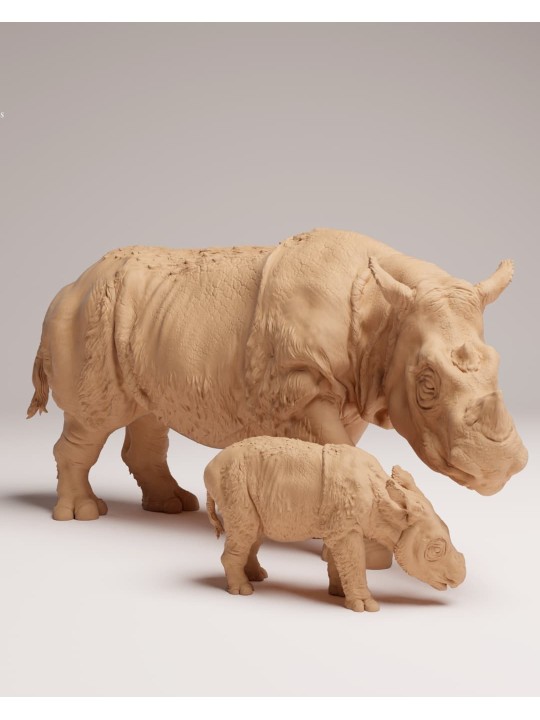 Rinoceronte de sumatra con cría