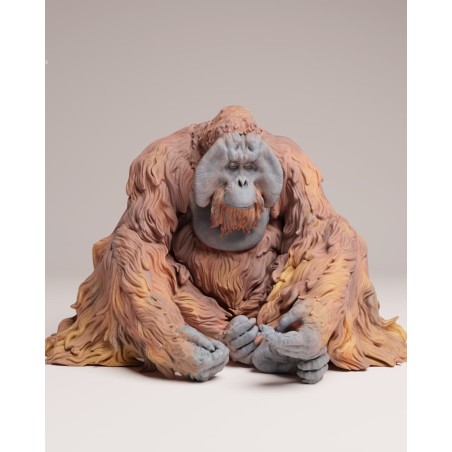 Orangután de sumatra sentado