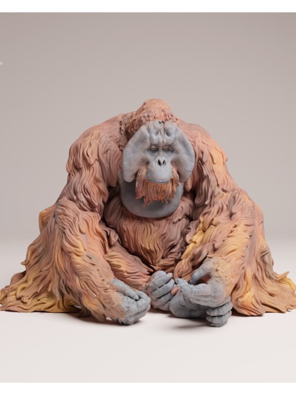 Orangután de sumatra sentado