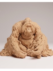 Orangután de sumatra sentado