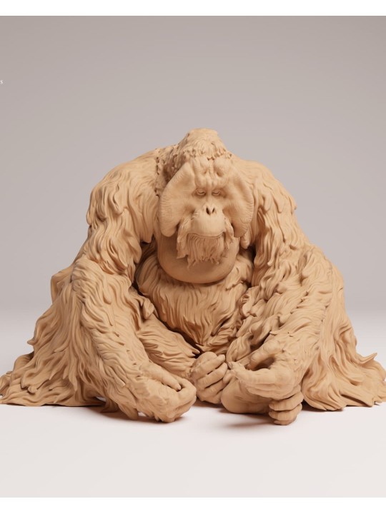 Orangután de sumatra sentado