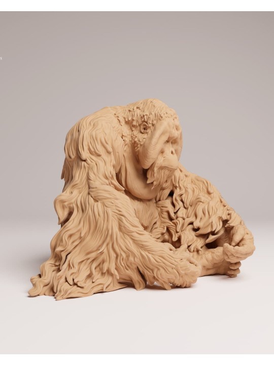 Orangután de sumatra sentado