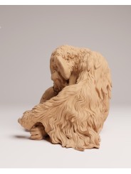 Orangután de sumatra sentado