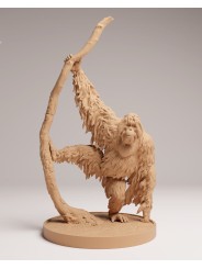 Sumatran orangutan with branch