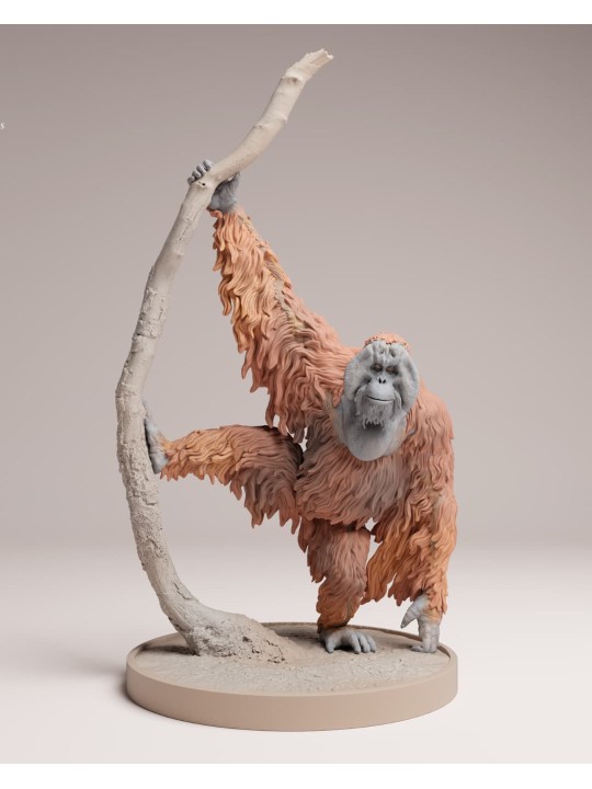 Sumatran orangutan with branch