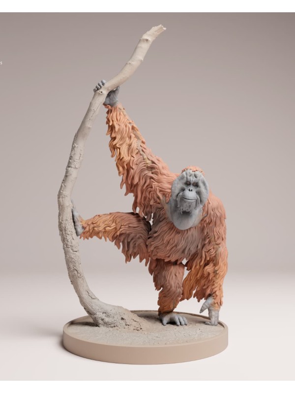 Orangután de sumatra con rama