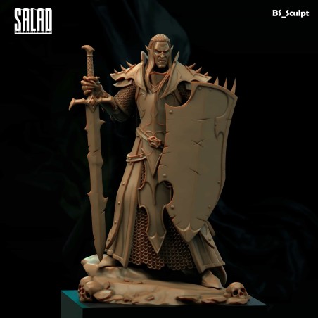 The Dark Elf Warrior