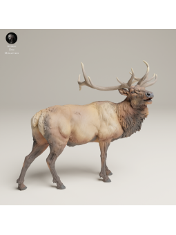 Bugling Elk In 3D Resin – Realistic Rocky Mountain Animal Miniature
