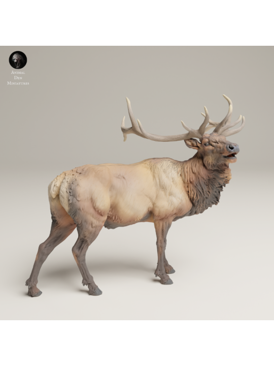 Bugling Elk In 3D Resin – Realistic Rocky Mountain Animal Miniature