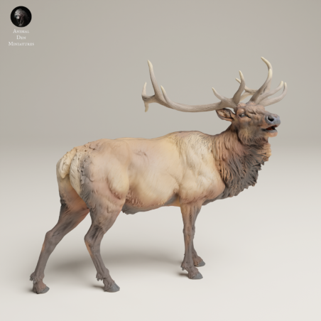 Bugling Elk In 3D Resin – Realistic Rocky Mountain Animal Miniature