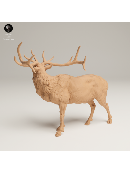 Bugling Elk In 3D Resin – Realistic Rocky Mountain Animal Miniature