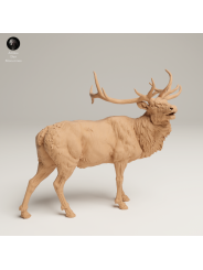 Bugling Elk In 3D Resin – Realistic Rocky Mountain Animal Miniature