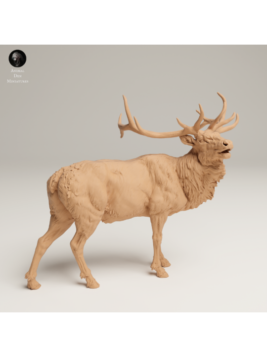Bugling Elk In 3D Resin – Realistic Rocky Mountain Animal Miniature