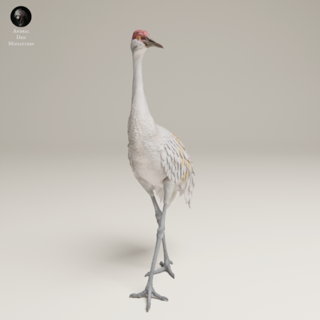 Greater Sandhill Crane In 3D Resin – Realistic Wildlife Bird Miniature