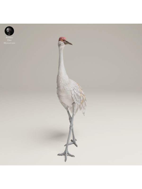Greater Sandhill Crane In 3D Resin – Realistic Wildlife Bird Miniature