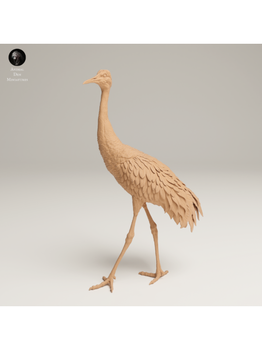 Greater Sandhill Crane In 3D Resin – Realistic Wildlife Bird Miniature