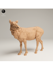 Alce Hembra En Resina 3D – Miniatura Naturalista De Las Montañas Rocosas