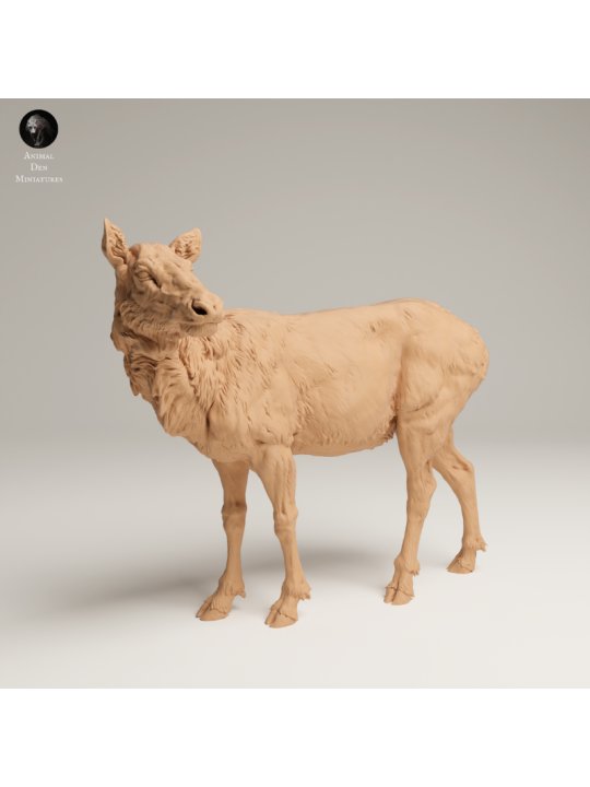 Alce Hembra En Resina 3D – Miniatura Naturalista De Las Montañas Rocosas