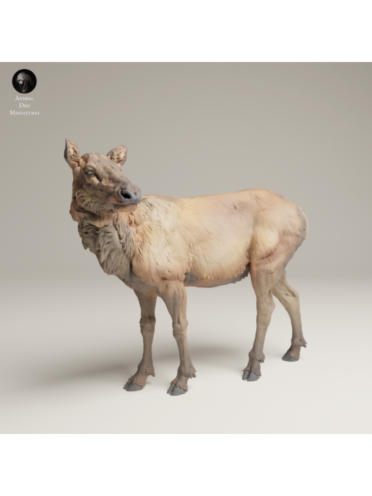 Alce Hembra En Resina 3D – Miniatura Naturalista De Las Montañas Rocosas