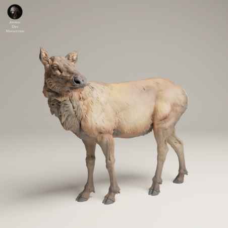 Female Elk In 3D Resin – Rocky Mountain Wildlife Miniature