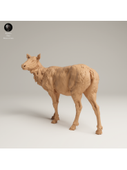 Female Elk In 3D Resin – Rocky Mountain Wildlife Miniature