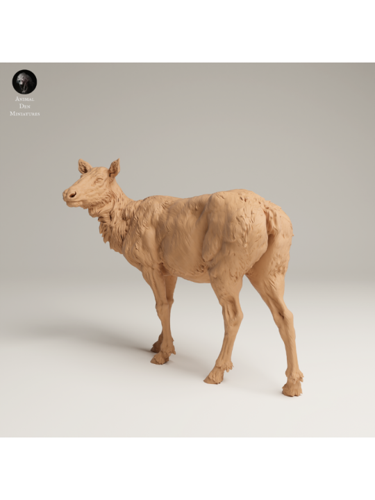 Female Elk In 3D Resin – Rocky Mountain Wildlife Miniature