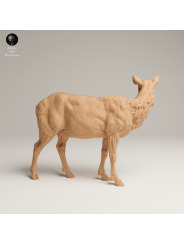 Female Elk In 3D Resin – Rocky Mountain Wildlife Miniature
