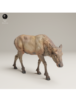 Alce Hembra Pastando En Resina 3D – Miniatura Naturalista De Fauna