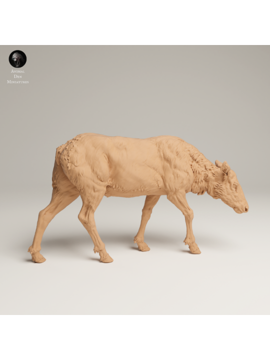 Alce Hembra Pastando En Resina 3D – Miniatura Naturalista De Fauna