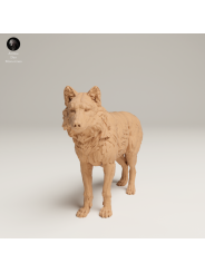 Lobo Gris En Resina 3D – Miniatura Realista De Fauna Salvaje