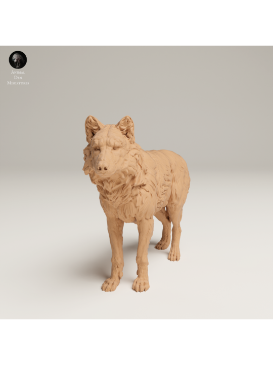 Lobo Gris En Resina 3D – Miniatura Realista De Fauna Salvaje