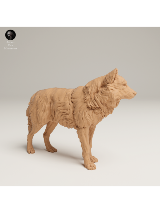 Lobo Gris En Resina 3D – Miniatura Realista De Fauna Salvaje