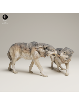 Grey Wolves In Tension – Twin 3D Resin Wildlife Miniature