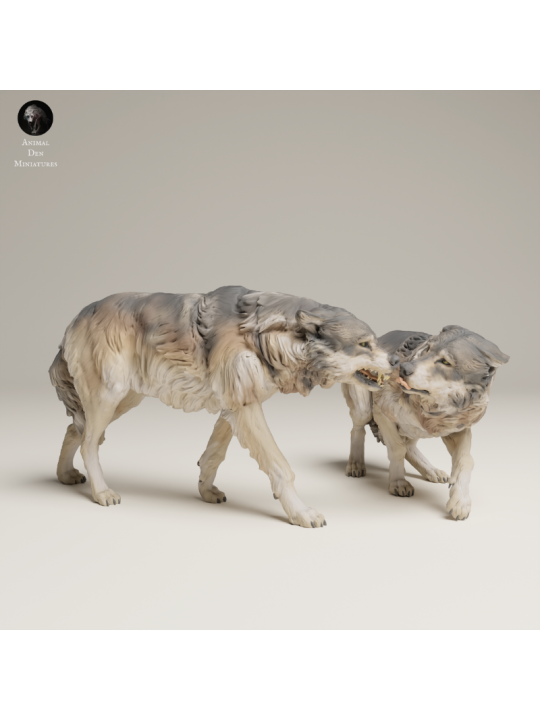 Grey Wolves In Tension – Twin 3D Resin Wildlife Miniature