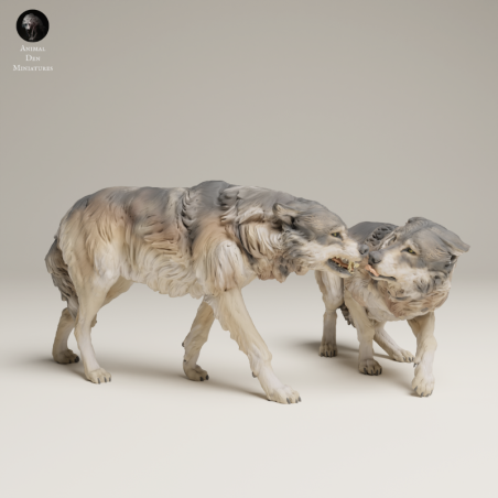 Grey Wolves In Tension – Twin 3D Resin Wildlife Miniature