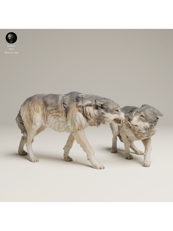 Grey Wolves In Tension – Twin 3D Resin Wildlife Miniature