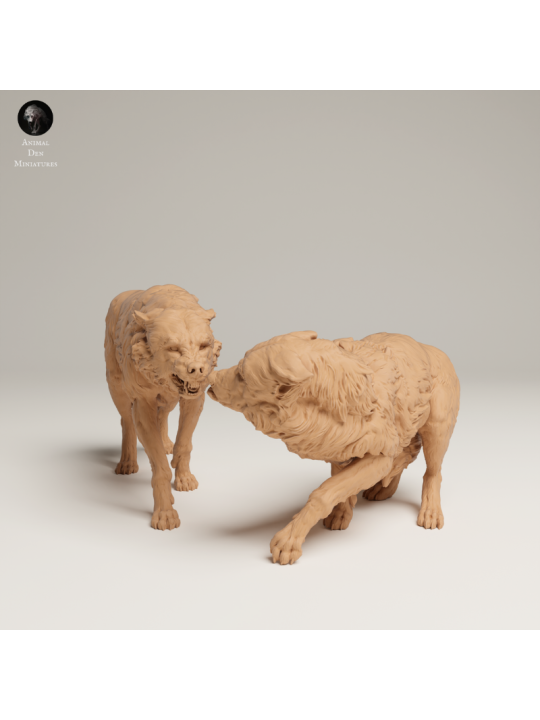 Lobos Grises En Tensión – Miniatura Doble En Resina 3D De Fauna