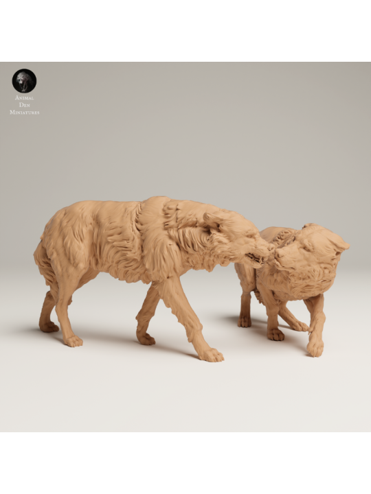 Grey Wolves In Tension – Twin 3D Resin Wildlife Miniature