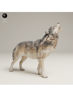 Lobo Gris Aullando En Resina 3D – Miniatura Naturalista Salvaje