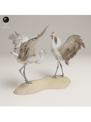 Canadian Crane Dance – Twin 3D Resin Wildlife Miniature