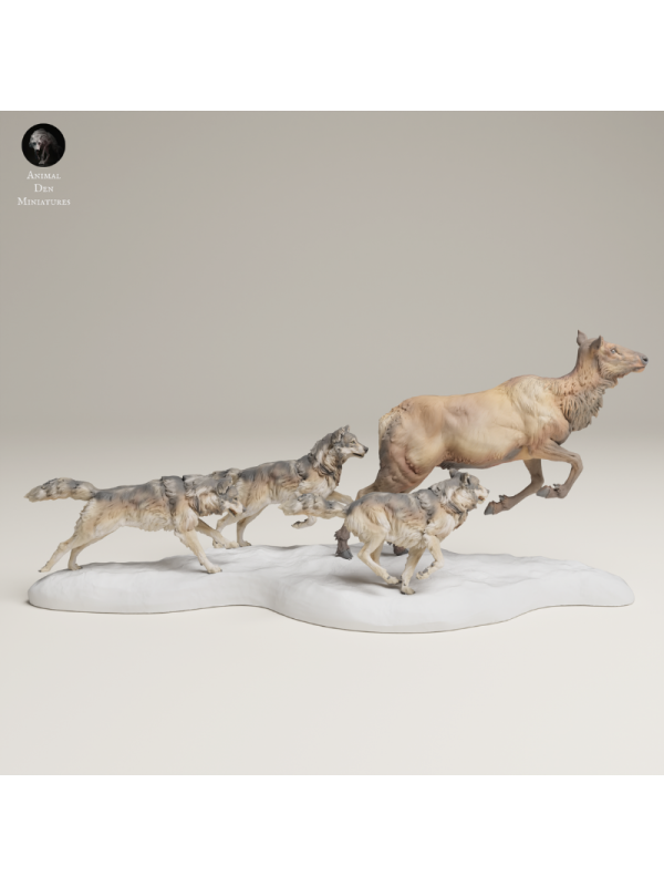 Lobos Cazando Alce Hembra – Escena Salvaje En Miniatura 3D
