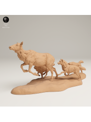 Lobos Cazando Alce Hembra – Escena Salvaje En Miniatura 3D