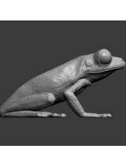 Rana De Ojos Granates – Miniatura En Resina 3D