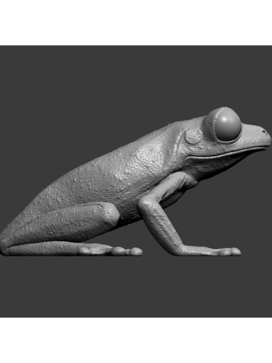 Rana De Ojos Granates – Miniatura En Resina 3D