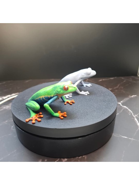 Rana De Ojos Granates – Miniatura En Resina 3D