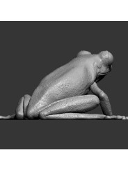 Rana De Ojos Granates – Miniatura En Resina 3D