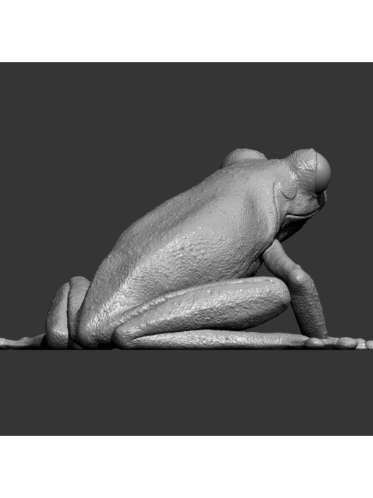 Rana De Ojos Granates – Miniatura En Resina 3D