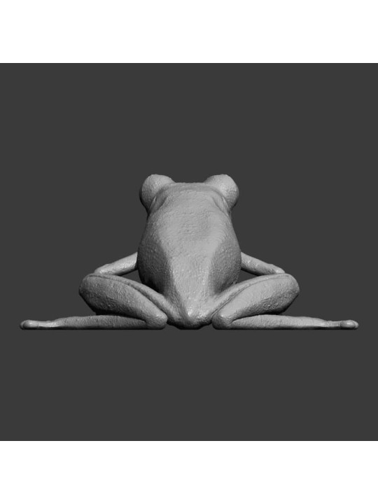 Rana De Ojos Granates – Miniatura En Resina 3D