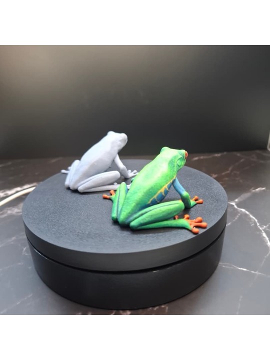 Rana De Ojos Granates – Miniatura En Resina 3D